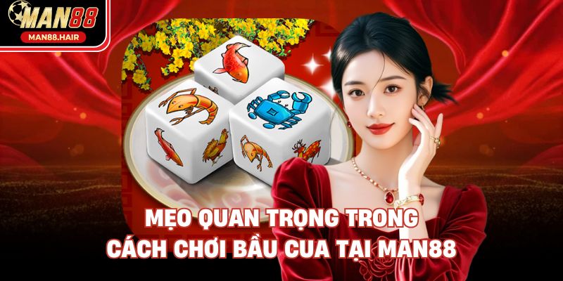 Mẹo quan trọng trong cách chơi bầu cua tại Man88